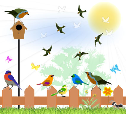 Biodiversity