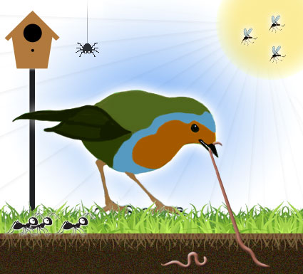 Pest Control