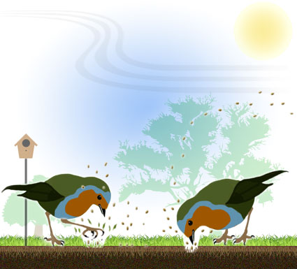 Seed Dispersal