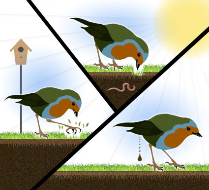 Soil Fertilization