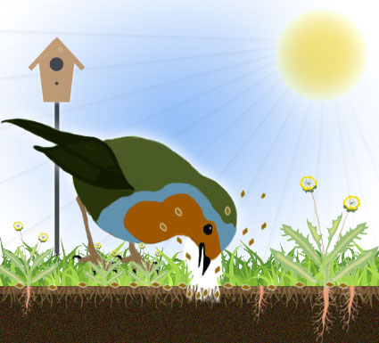 Weed Control